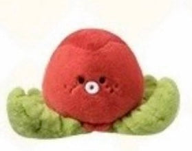 風早巽 中国 ポラロイド ポラロイド – ポップニャン(popnyan)